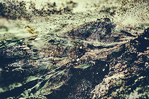 Arthur Babel - Burned Memories, Extrait #07