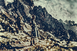 Arthur Babel - Burned Memories Mer de Gmace, Extrait #11