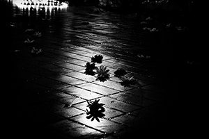 Arthur Babel - Excentricités V, Extrait  #06