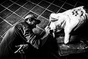 Arthur Babel - 14. , Extrait  #12