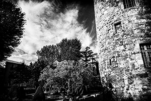 Arthur Babel - 14. , Extrait #16