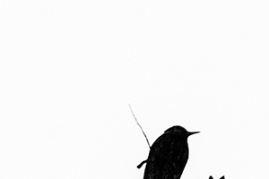 Arthur Babel - Envols, Extrait #10