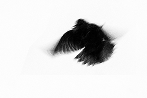 Arthur Babel - Envols, Extrait #14