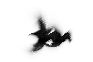 Arthur Babel - Envols, Extrait #01