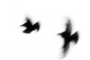 Arthur Babel - Envols, Extrait #02