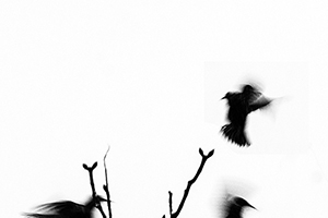 Arthur Babel - Envols, Extrait #04