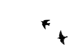 Arthur Babel - Envols, Extrait #08