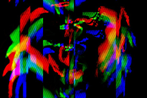 Arthur Babel - Chimères #14