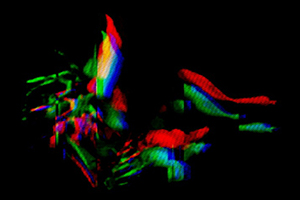 Arthur Babel - Chimères #07