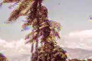 Arthur Babel - Haïti, Extrait #10