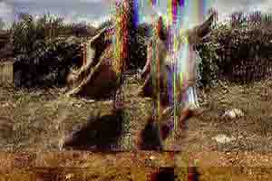 Arthur Babel - Haïti, Extrait #14