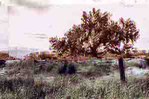 Arthur Babel - Haïti, Extrait #16