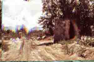 Arthur Babel - Haïti, Extrait #09