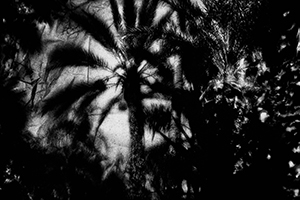 Arthur Babel - Maroc, Extrait #03