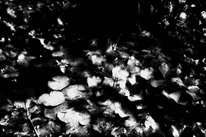 Arthur Babel - Maroc, Extrait #08