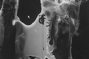 Arthur Babel - Corrompus, Extrait #02